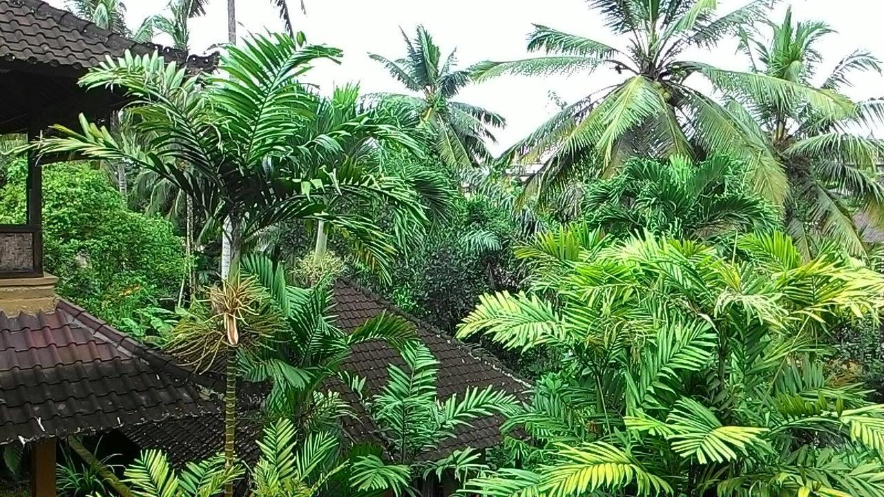 Sari Wangi Cottage Ubud  Exterior photo