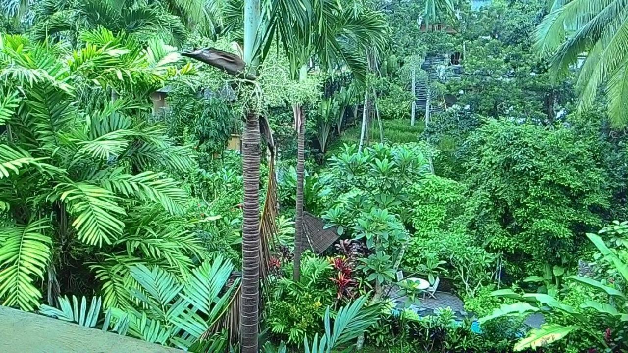 Sari Wangi Cottage Ubud  Exterior photo