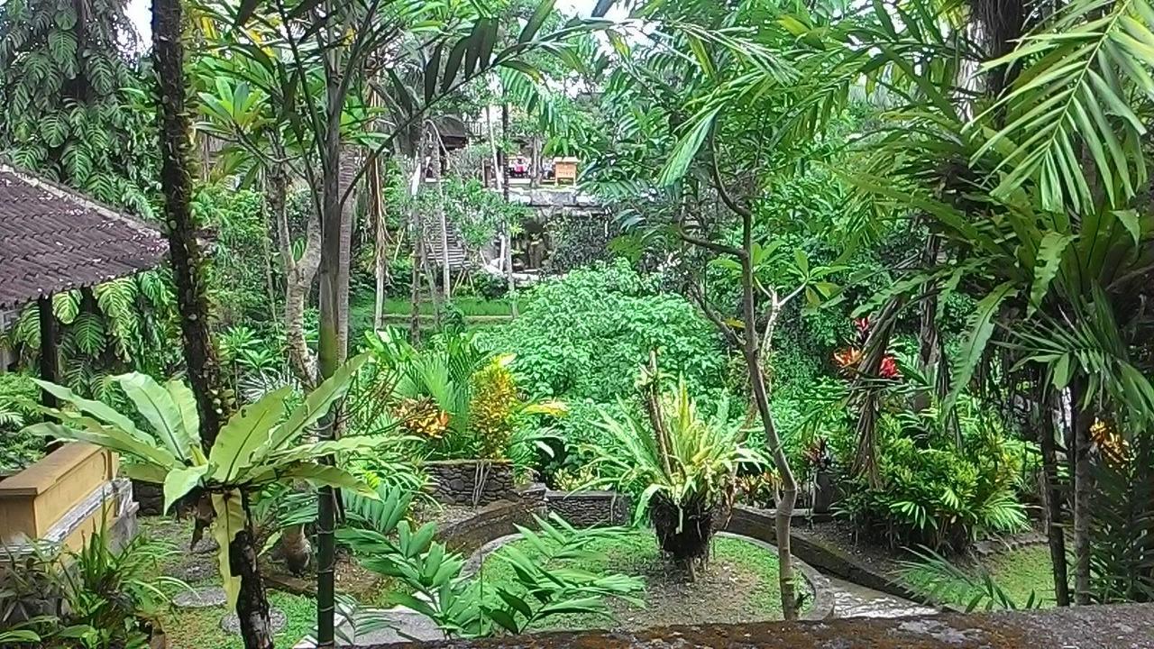 Sari Wangi Cottage Ubud  Exterior photo